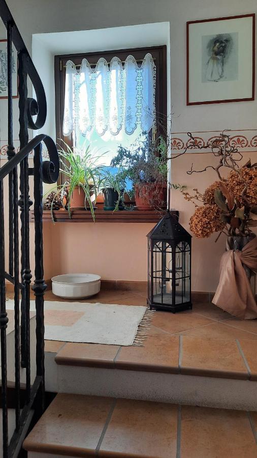 Casa Vacanze Da Olga Danta Екстериор снимка